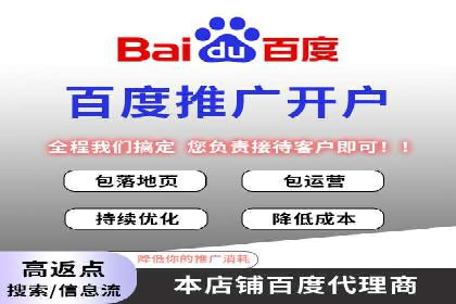 百度竞价代理技巧：经典成功案例解析